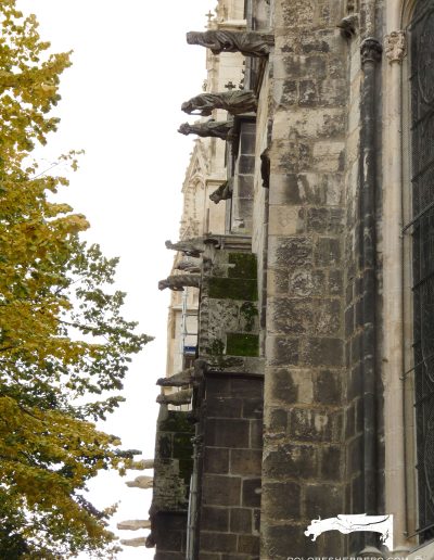 Gargoyles from the Cathedral of Bordeaux (France).