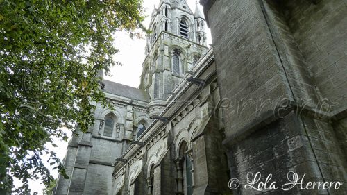 Gárgolas Catedral Cork (Irlanda) 166