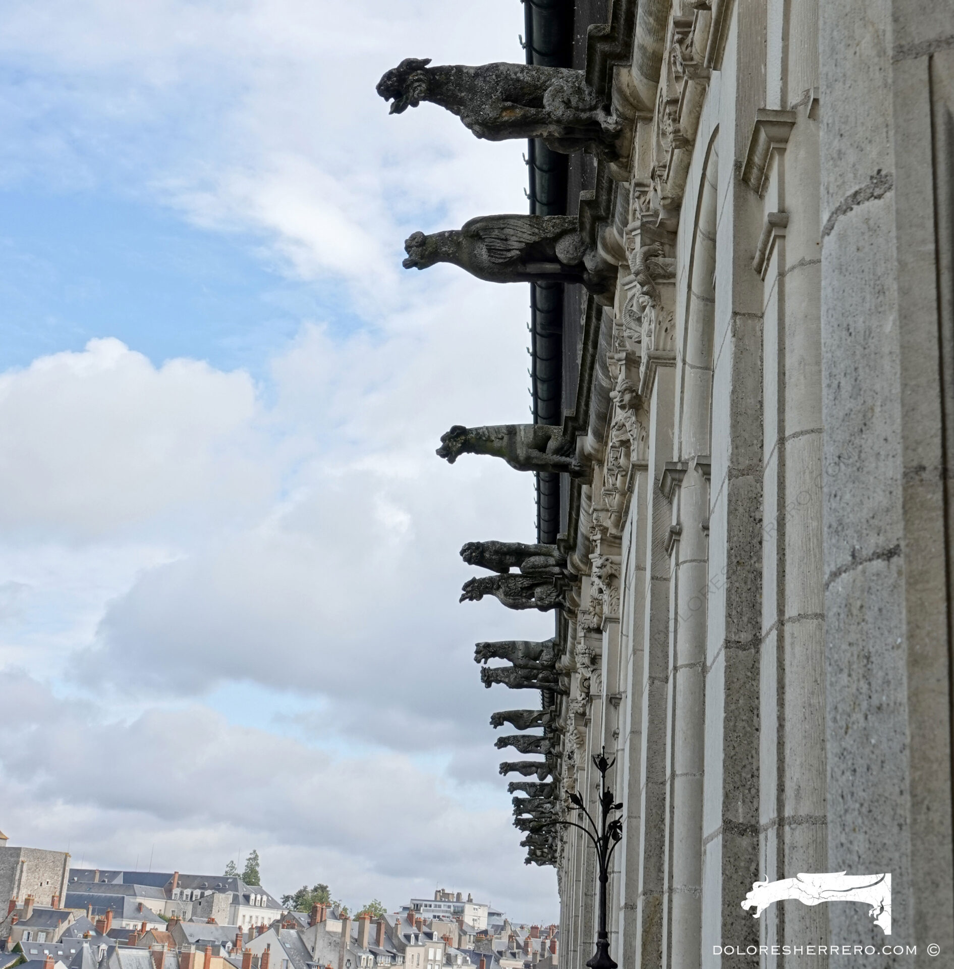 Gárgolas del Château Royal de Blois (Francia).
