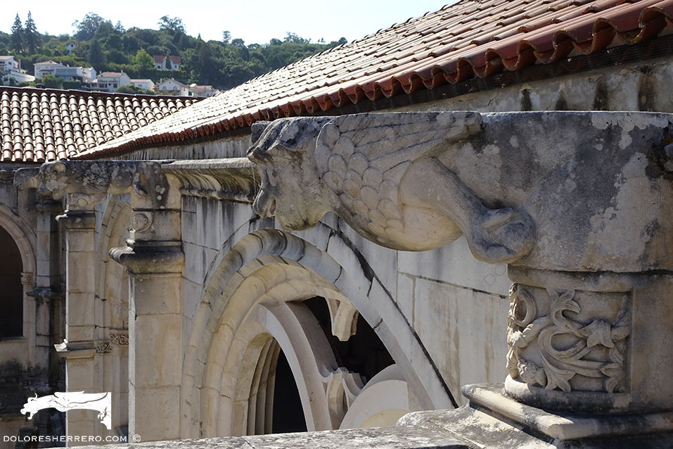 Las gárgolas del Monasterio de Alcobaça