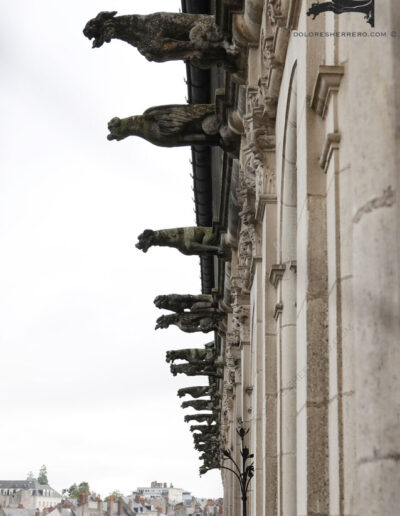 Gárgolas del Château Royal de Blois (Francia).