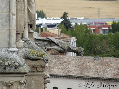 Gárgolas Catedral Burgos 170