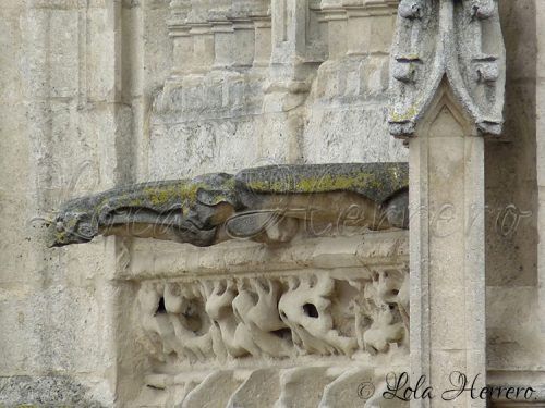 Gárgolas Catedral Burgos 168