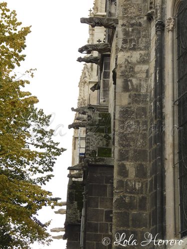 Gárgolas Catedral Burdeos (Francia) 172