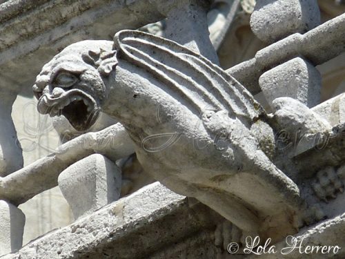 Gárgola Catedral Burgos 104