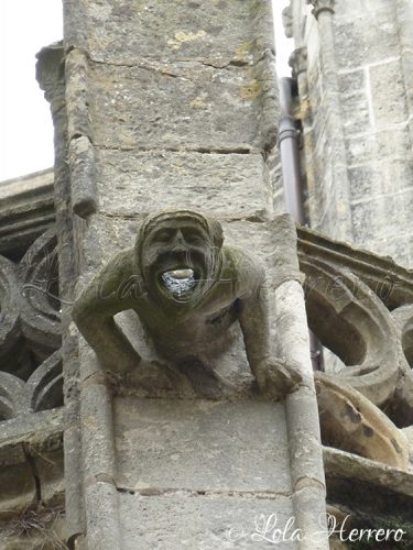 Gárgola Catedral Tours (Francia) 109