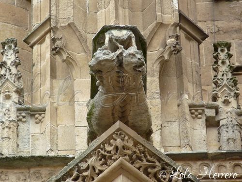 Gárgola Catedral Salamanca 209