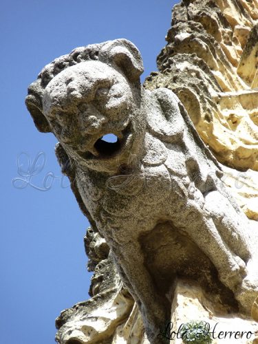 Gárgola Catedral Segovia 112